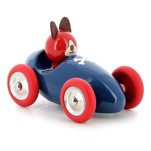 Little racers - Lucien the dog in its car 