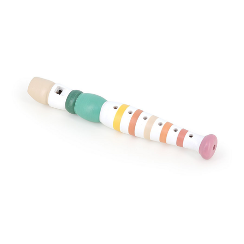 Music - Multicolored recorder